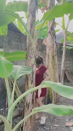 Halu