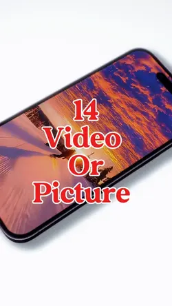 14 video or picture 