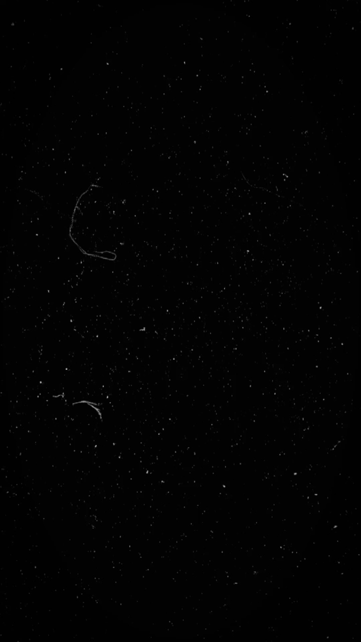 Nhạc + Màu 🧷