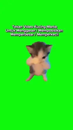 trend kucing
