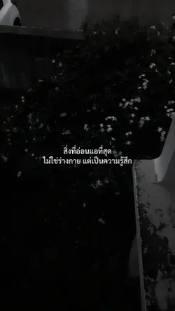 ความรู้สึก