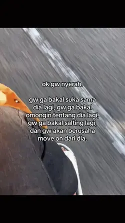 ok gw nyerah