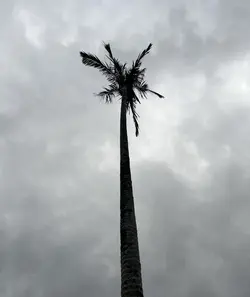 猜不透
