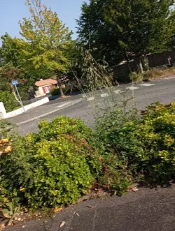 Un garc va mal quand