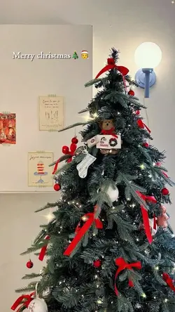 Merry christmas 2025