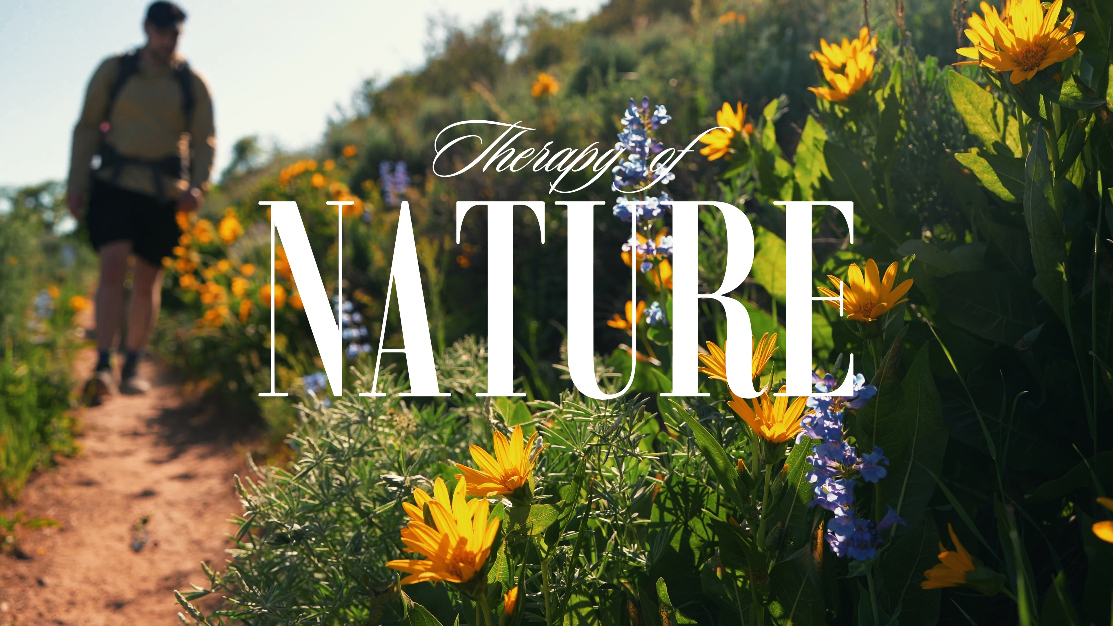 Therapy of nature