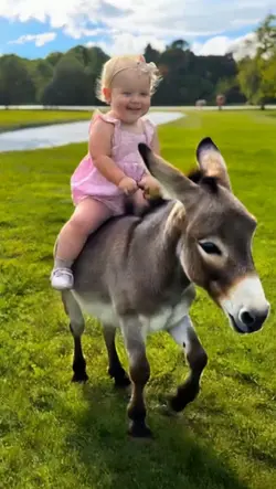Ride a donkey