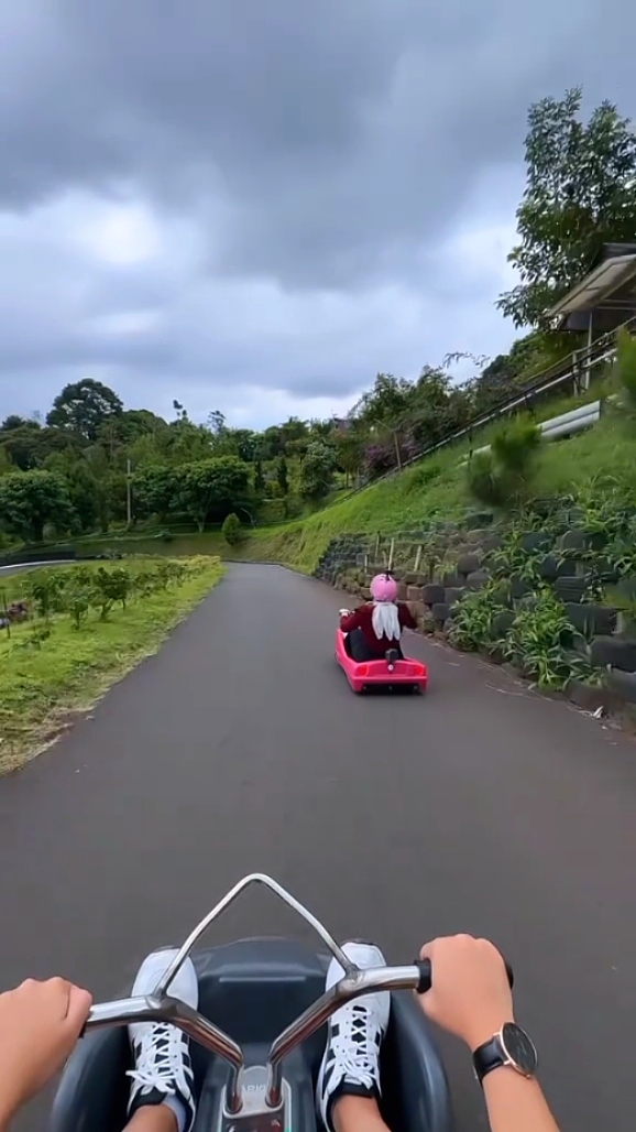 lugekart trend-rosi