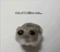 2 billion rats..