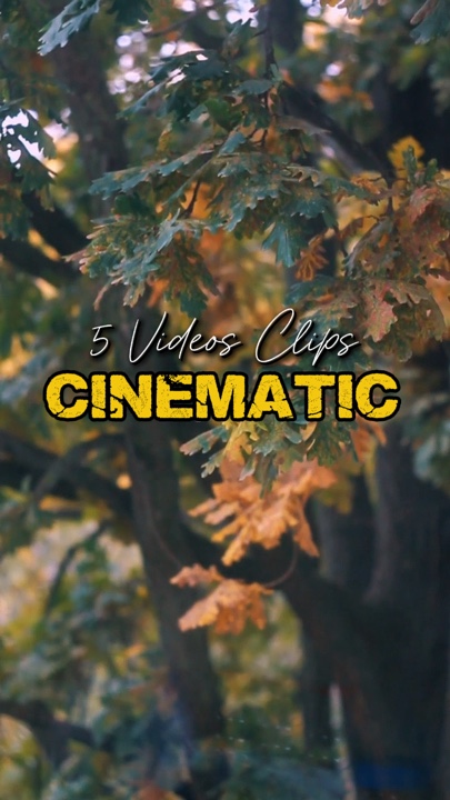Cinematic 5 Videos 