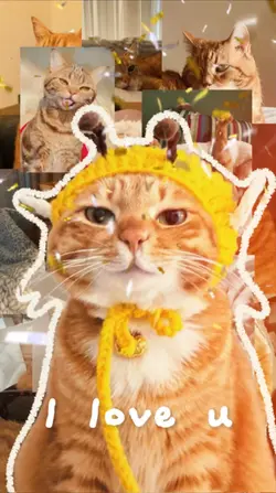 Pet photodump ❤️