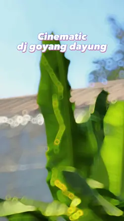 Dj goyang dayung