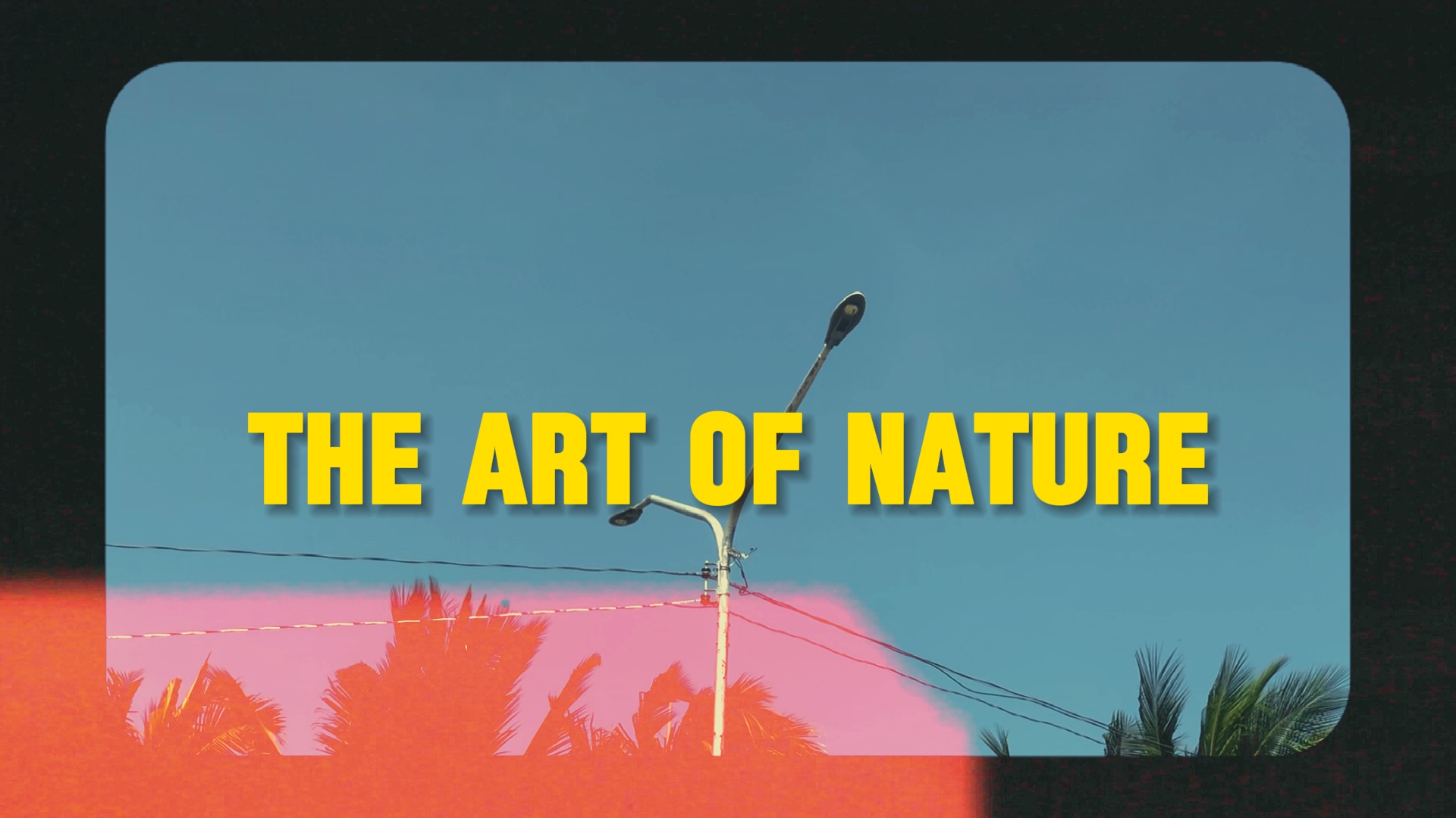 The art of Nature