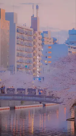 気付かれなくていい想い