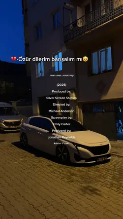 Barışalım mı? Akımı
