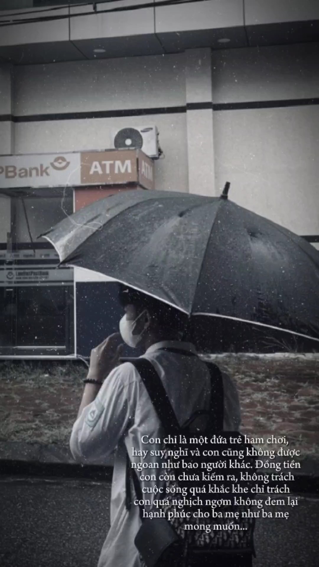 Trình chiếu & cap