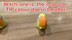Who Is the imposter?