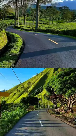 2 video collage