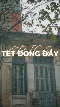🧷2 ảnh tết