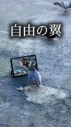 調査兵団 団鳥🪽