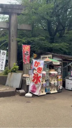 Japan vibes