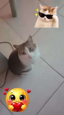 pets