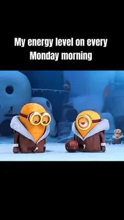 my Monday 