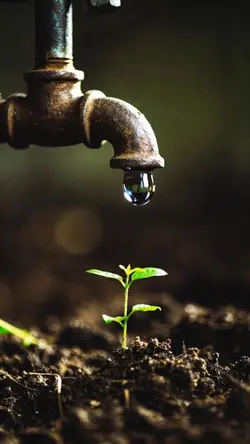 💧 The First Drop