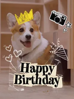 Happy birthday 🎉 