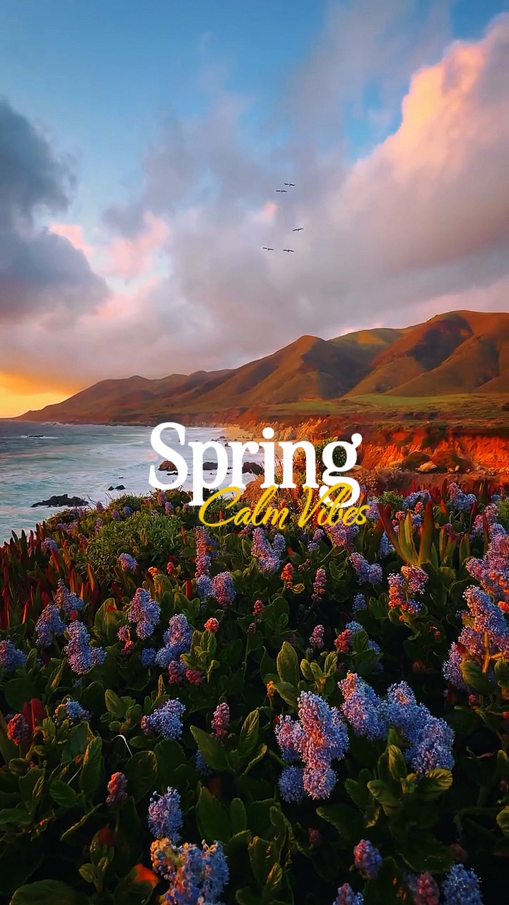 Spring calm vibes