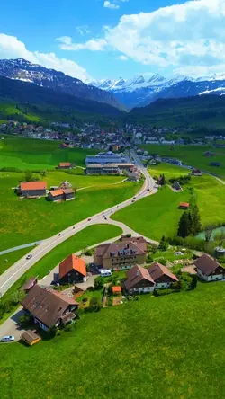 21 clips New Templat