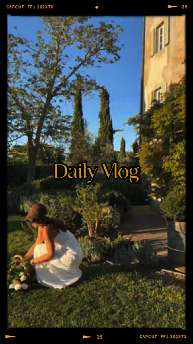 Daily Vlog