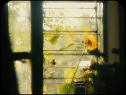 aesthetic mini vlog