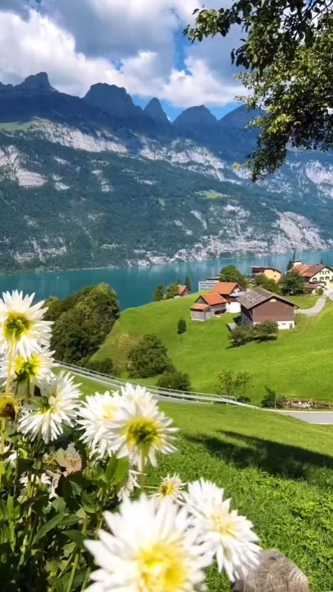 Swiss yang menakjubkan