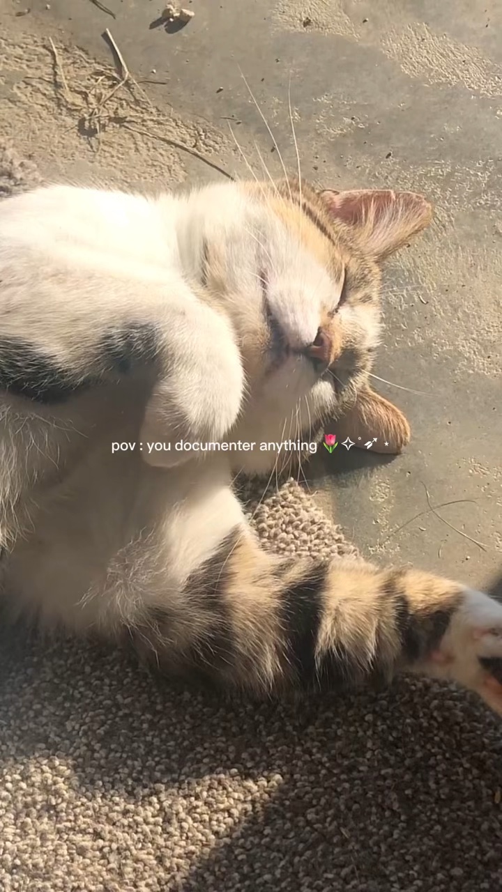 pov: u documenter 