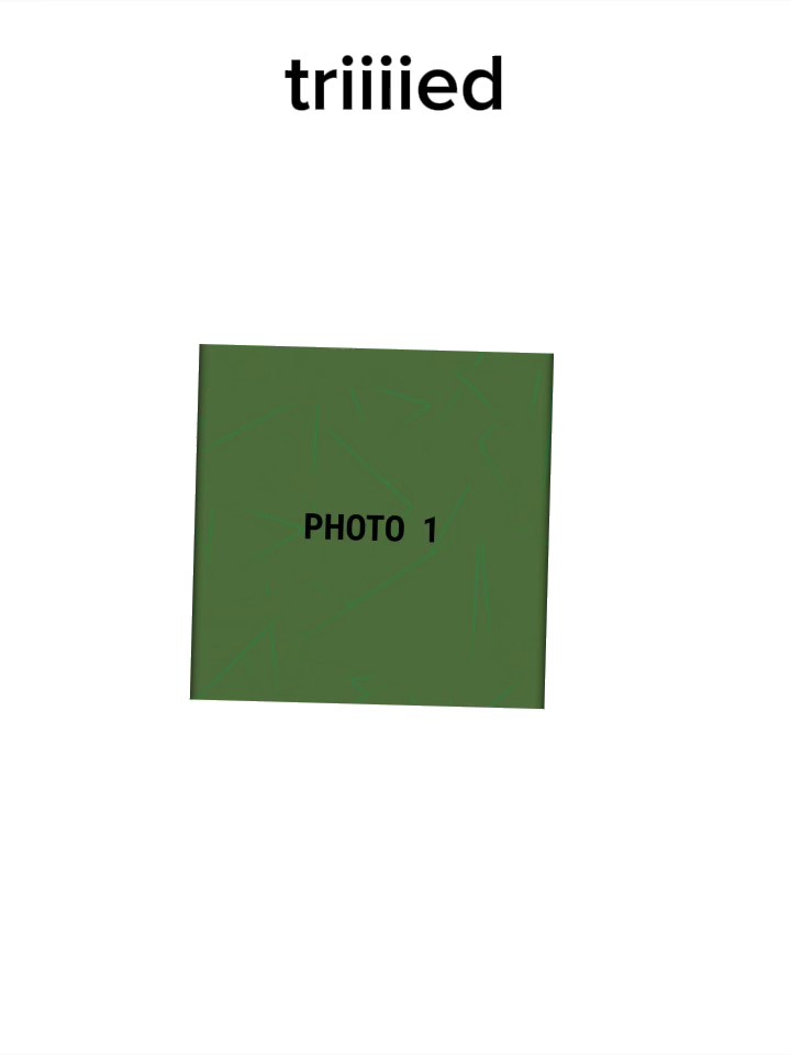 The Trend Edit 