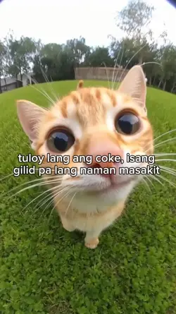 tuloy lang ang coke 