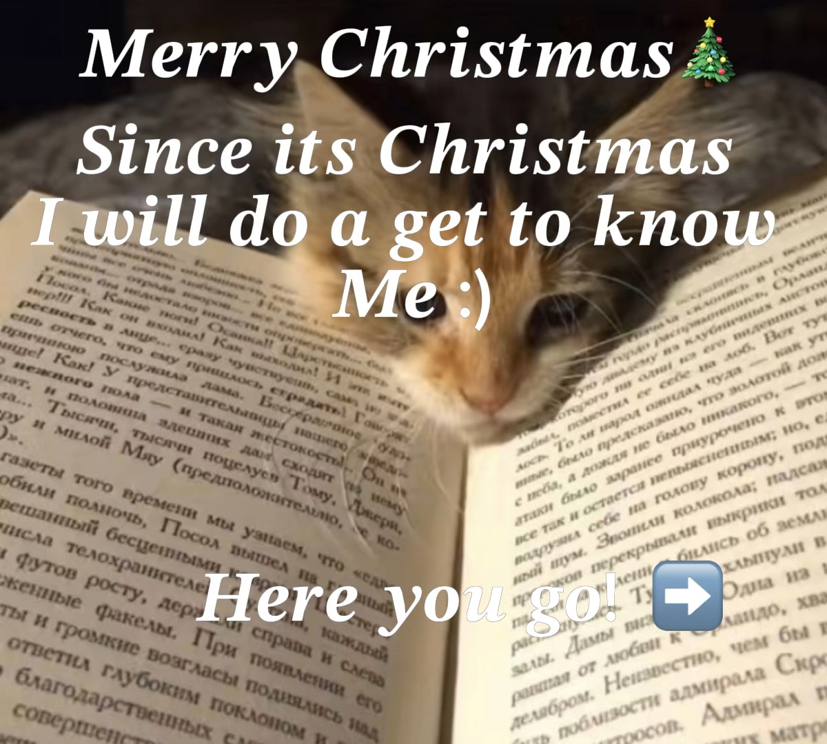 A Christmas special🎄