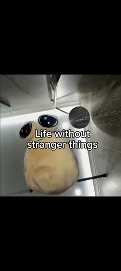 Stranger things