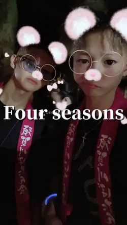 5枚