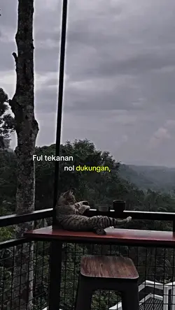Nol dukungan