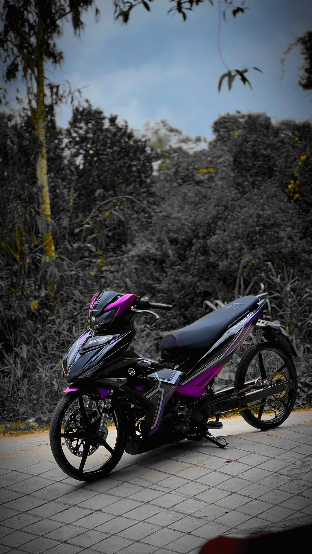 Lên mẫu video +màu