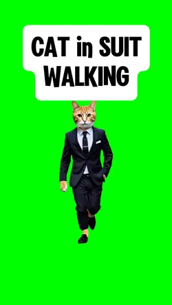 CAT IN SUIT WALKING