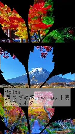 紅葉×すずめ・4Kフィルター