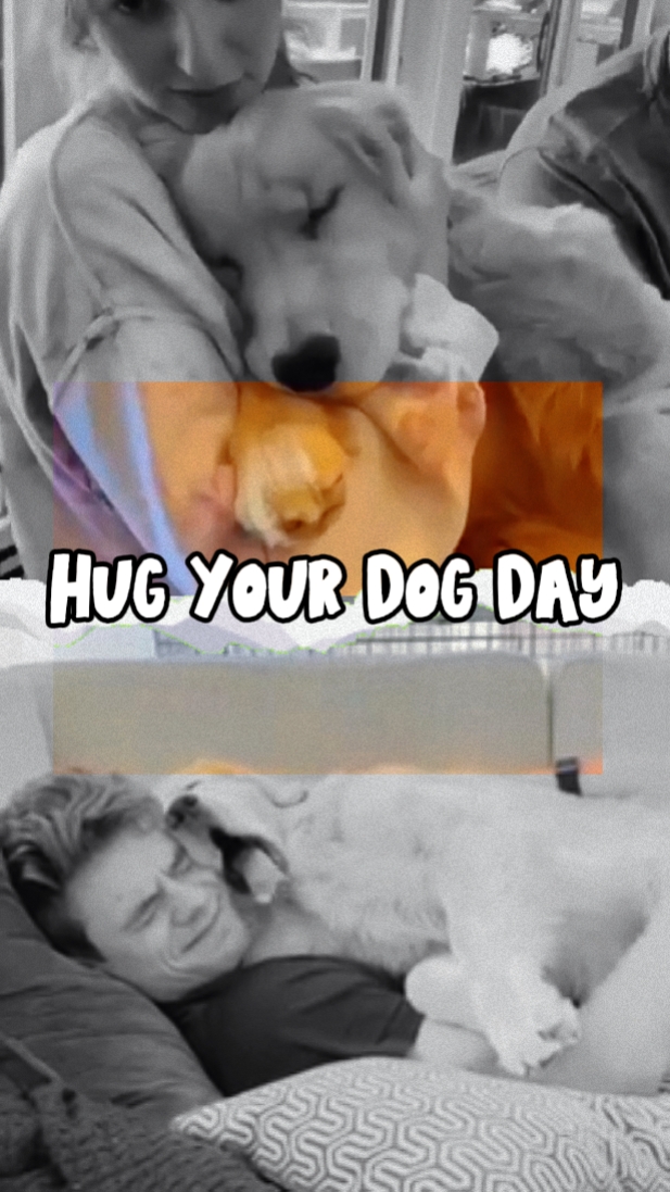 Hug Your Dog Day