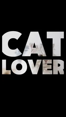 Cat Lover