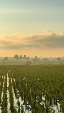 Indahnya
