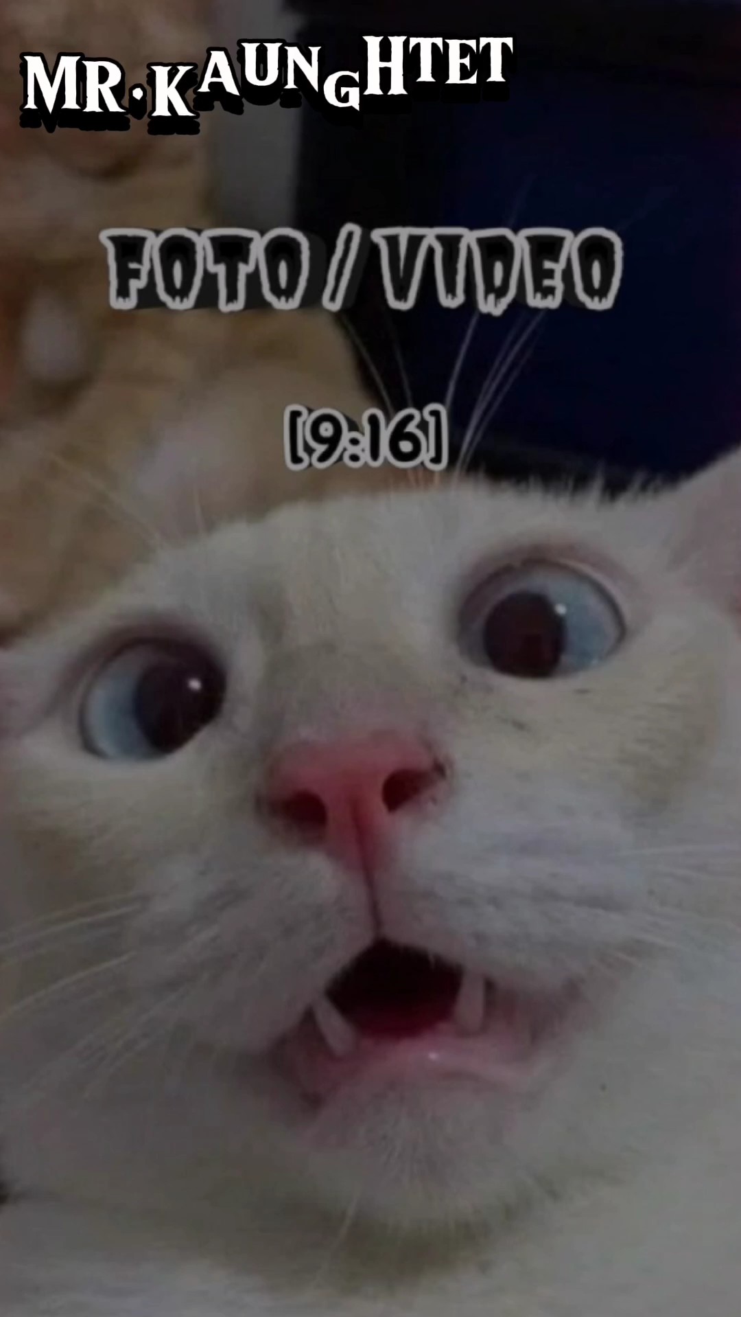 ကြိုက်ရင်ယူသုံး ကွာ.