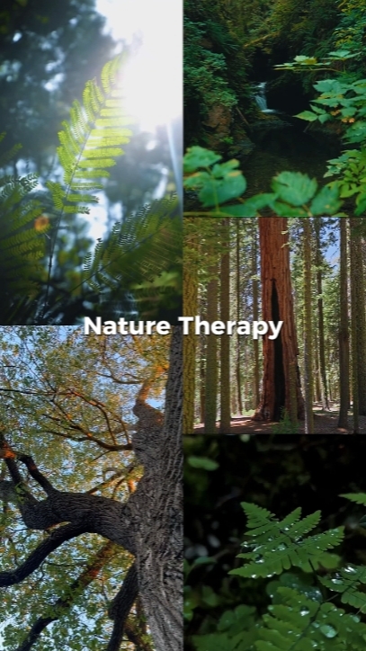Nature Therapy