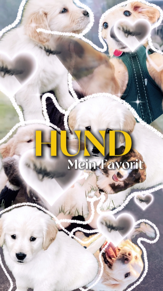 Mein Lieblingshund 